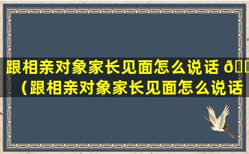 跟相亲对象家长见面怎么说话 🌾 （跟相亲对象家长见面怎么说话比较好）